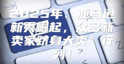 2025年：亚马逊新秀崛起，众多新卖家跻身大卖”行列！
