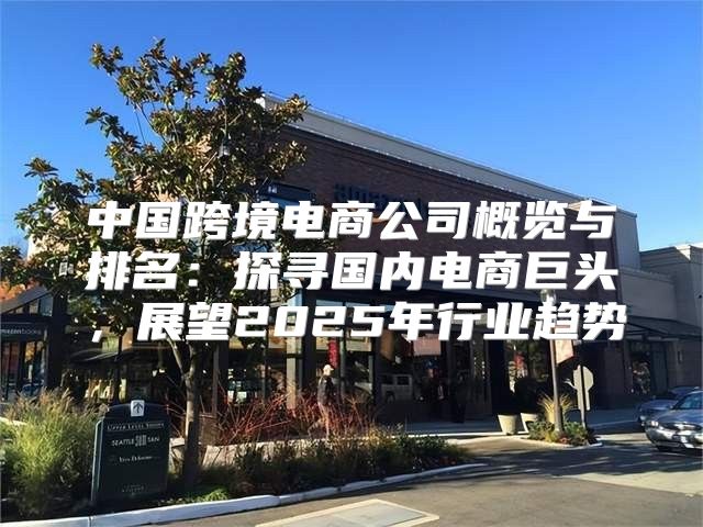 中国跨境电商公司概览与排名：探寻国内电商巨头，展望2025年行业趋势