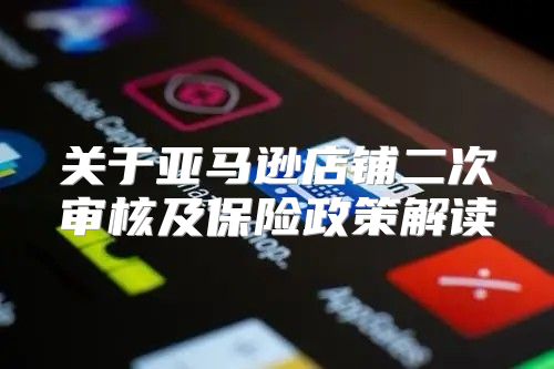 关于亚马逊店铺二次审核及保险政策解读