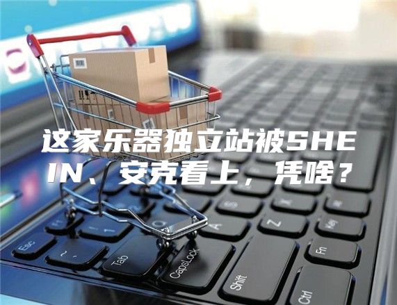 这家乐器独立站被SHEIN、安克看上，凭啥？
