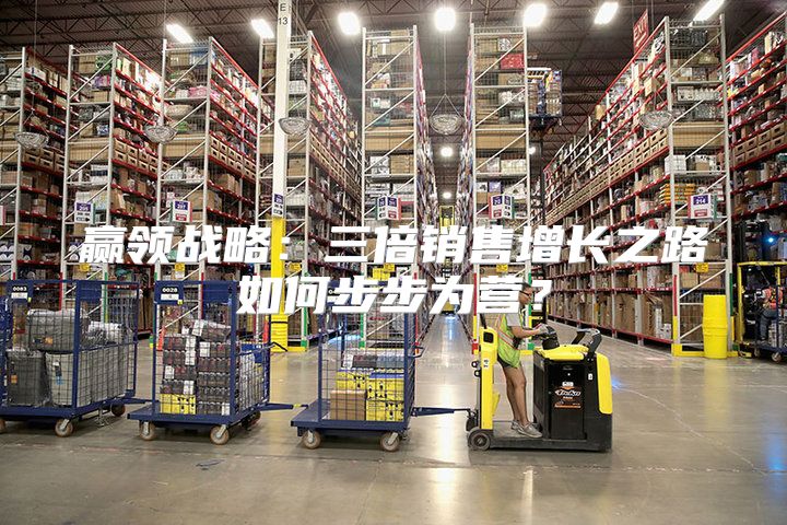 赢领战略：三倍销售增长之路如何步步为营？