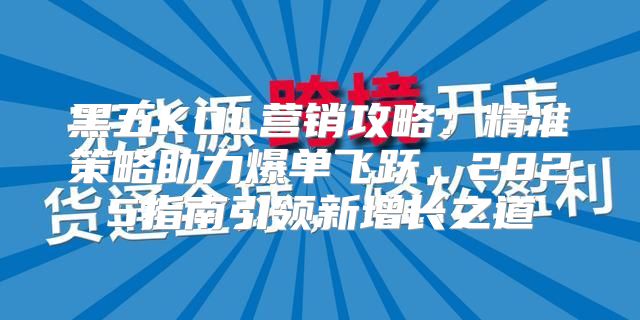 黑五KOL营销攻略：精准策略助力爆单飞跃，2025指南引领新增长之道