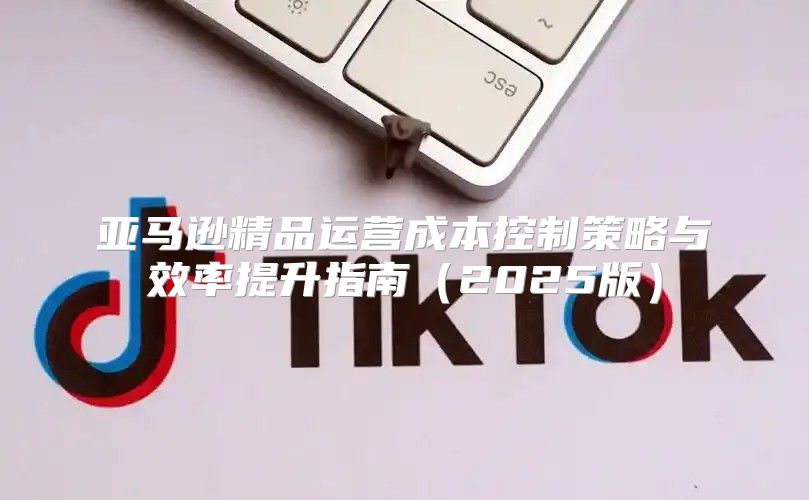亚马逊精品运营成本控制策略与效率提升指南2025版
