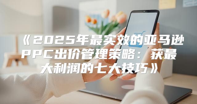 2025年最实效的亚马逊PPC出价管理策略：获最大利润的七大技巧