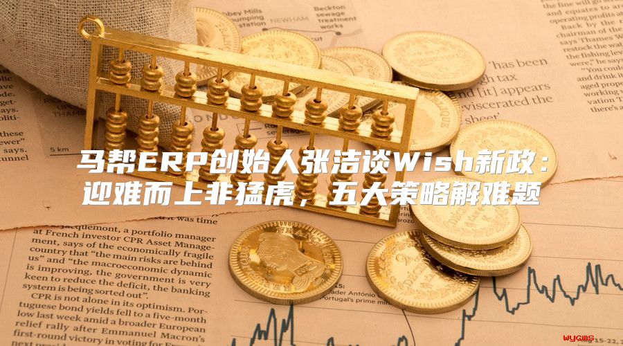 马帮ERP创始人张洁谈Wish新政：迎难而上非猛虎，五大策略解难题