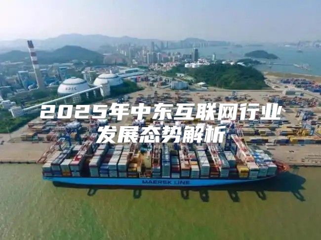 2025年中东互联网行业发展态势解析