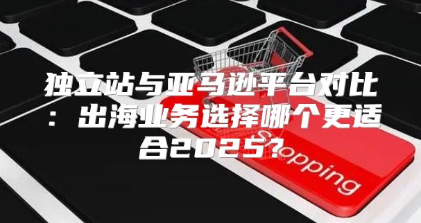 独立站与亚马逊平台对比：出海业务选择哪个更适合2025？