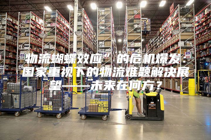 物流蝴蝶效应”的危机爆发：国家重视下的物流难题解决展望——未来在何方？