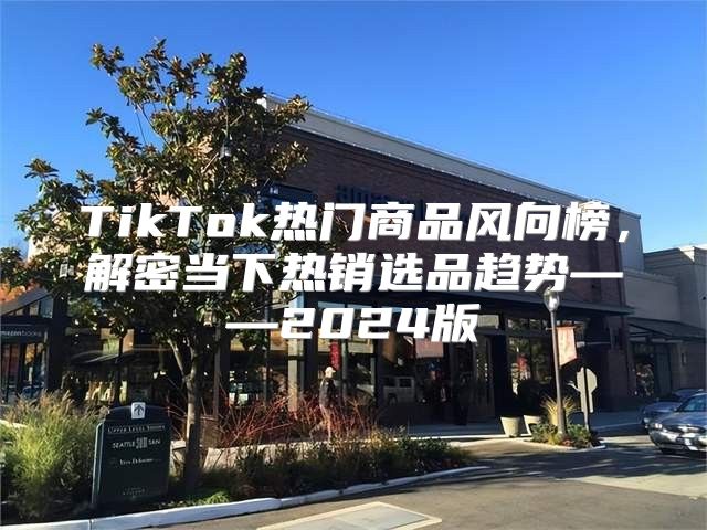 TikTok热门商品风向榜，解密当下热销选品趋势——2025版