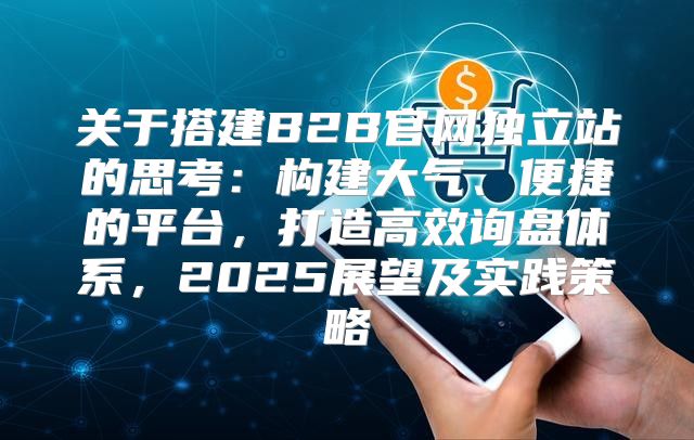 关于搭建B2B官网独立站的思考：构建大气、便捷的平台，打造高效询盘体系，2025展望及实践策略