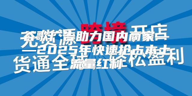谷歌广告助力国内商家——2025年快速抢占本土流量红利