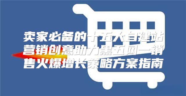 卖家必备的十五大自建站营销创意助力黑五网一销售火爆增长策略方案指南