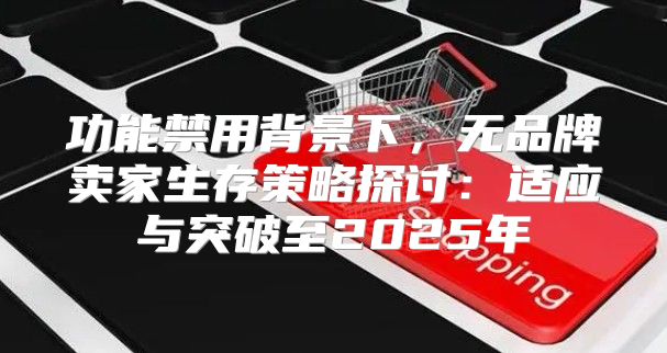 功能禁用背景下，无品牌卖家生存策略探讨：适应与突破至2025年