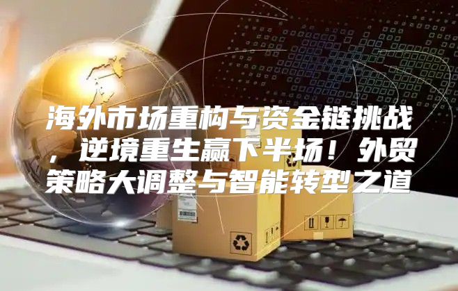海外市场重构与资金链挑战，逆境重生赢下半场！外贸策略大调整与智能转型之道