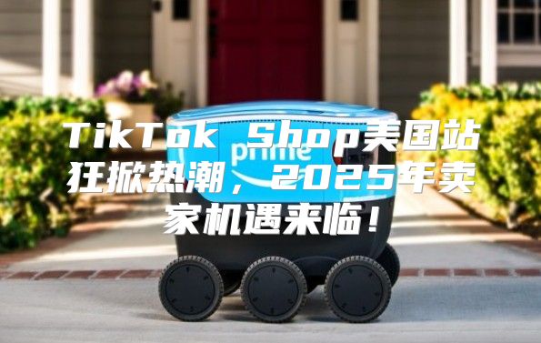 TikTok Shop美国站狂掀热潮，2025年卖家机遇来临！