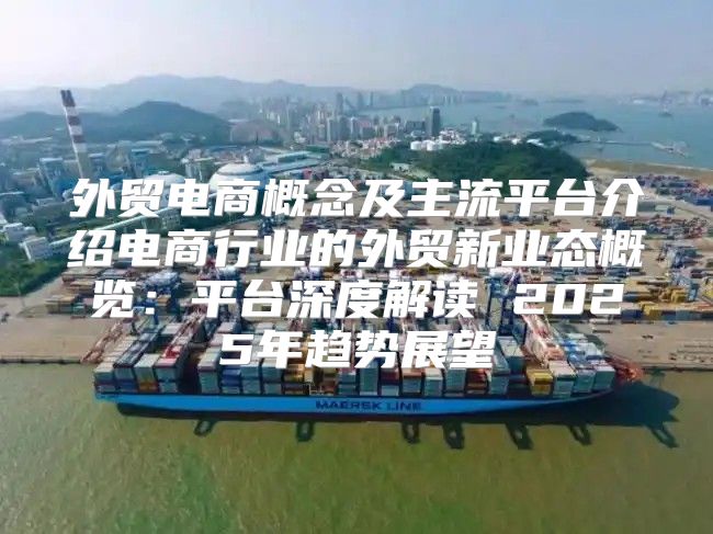 外贸电商概念及主流平台介绍电商行业的外贸新业态概览：平台深度解读 2025年趋势展望