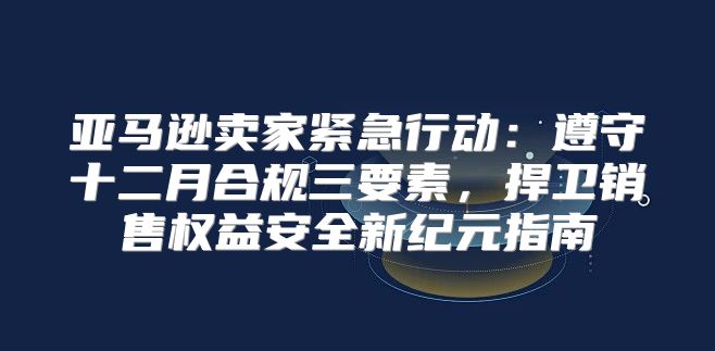 亚马逊卖家紧急行动：遵守十二月合规三要素，捍卫销售权益安全新纪元指南