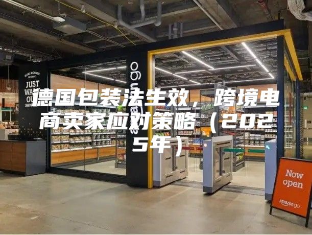 德国包装法生效，跨境电商卖家应对策略2025年