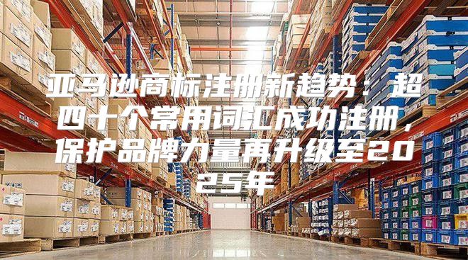 亚马逊商标注册新趋势：超四十个常用词汇成功注册，保护品牌力量再升级至2025年