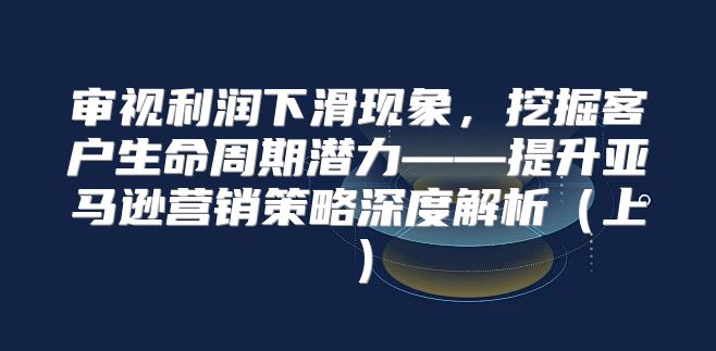 审视利润下滑现象，挖掘客户生命周期潜力——提升亚马逊营销策略深度解析上