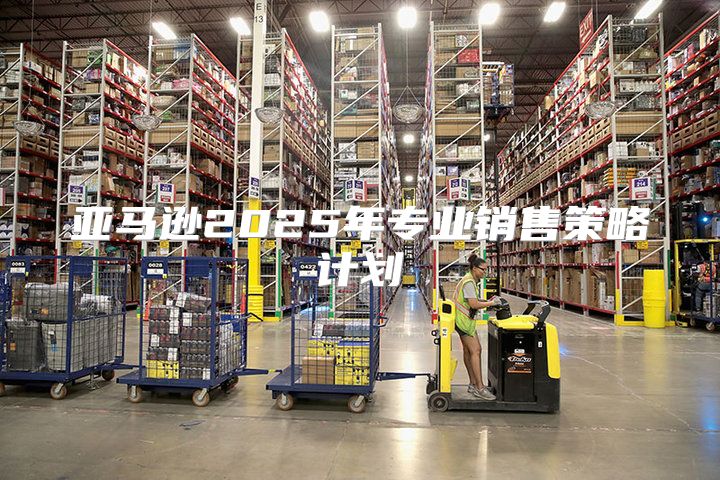 亚马逊2025年专业销售策略计划
