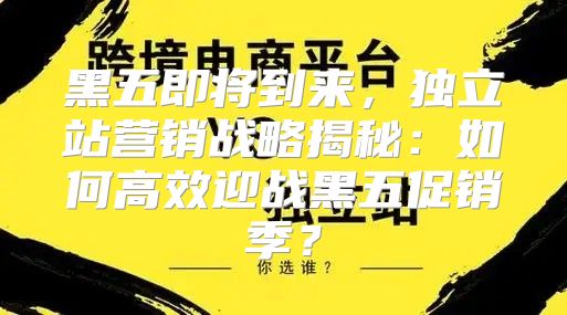 黑五即将到来，独立站营销战略揭秘：如何高效迎战黑五促销季？