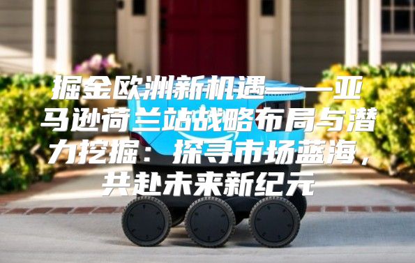 掘金欧洲新机遇——亚马逊荷兰站战略布局与潜力挖掘：探寻市场蓝海，共赴未来新纪元
