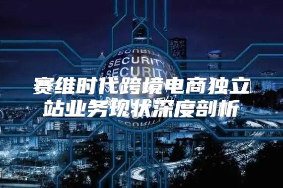 赛维时代跨境电商独立站业务现状深度剖析