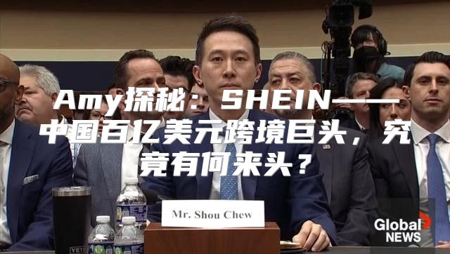 Amy探秘：SHEIN——中国百亿美元跨境巨头，究竟有何来头？