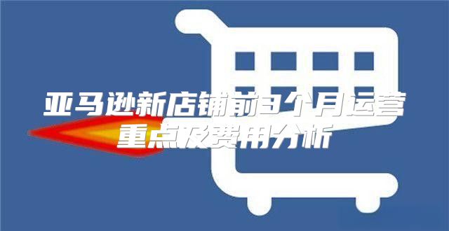 亚马逊新店铺前3个月运营重点及费用分析