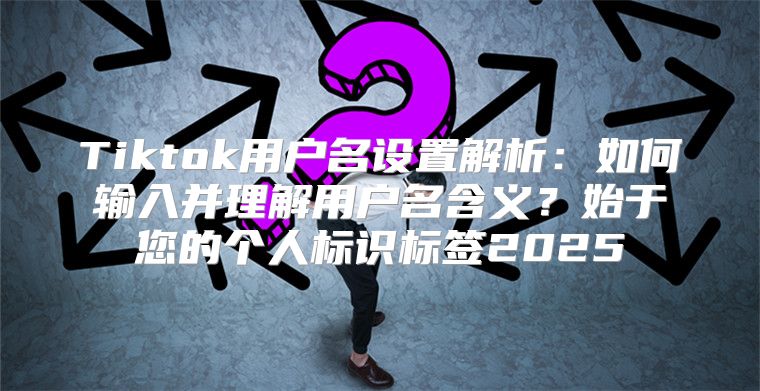 Tiktok用户名设置解析：如何输入并理解用户名含义？始于您的个人标识标签2025
