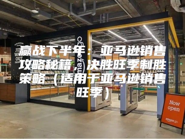 赢战下半年：亚马逊销售攻略秘籍，决胜旺季制胜策略适用于亚马逊销售旺季