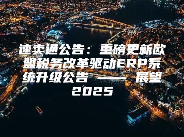 速卖通公告：重磅更新欧盟税务改革驱动ERP系统升级公告 —— 展望2025