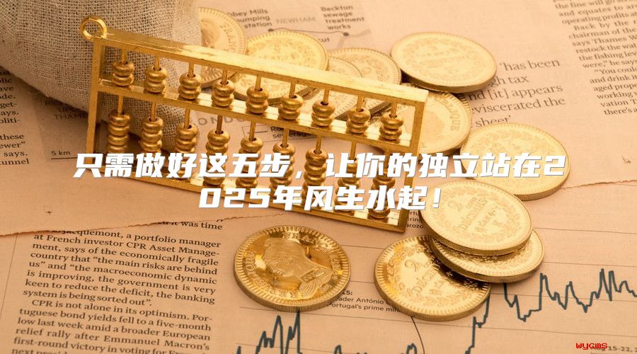 只需做好这五步，让你的独立站在2025年风生水起！