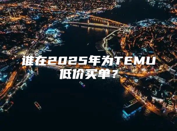 谁在2025年为TEMU低价买单？
