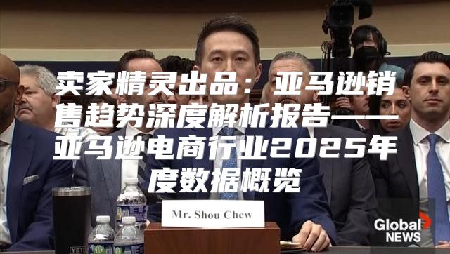 卖家精灵出品:亚马逊销售趋势深度解析报告——亚马逊电商行业2025年度数据概览
