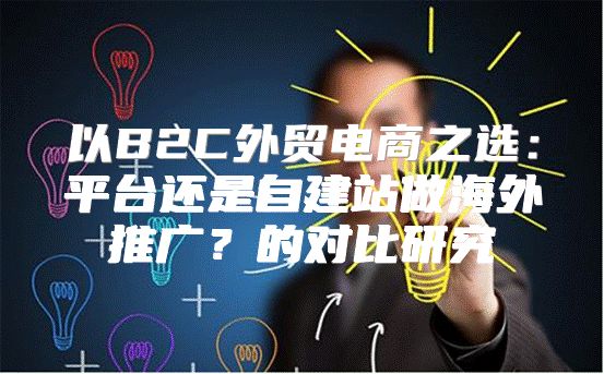 以B2C外贸电商之选：平台还是自建站做海外推广？的对比研究