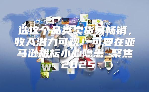 选这个品类卖货易畅销，收入潜力可观！可要在亚马逊耕耘小心隐患 聚焦 2025