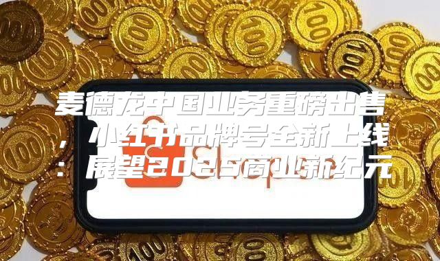 麦德龙中国业务重磅出售，小红书品牌号全新上线：展望2025商业新纪元