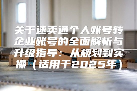 关于速卖通个人账号转企业账号的全面解析与升级指导：从规划到实操适用于2025年