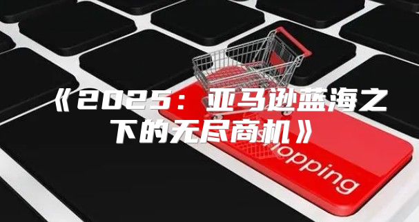 2025亚马逊蓝海之下的无尽商机
