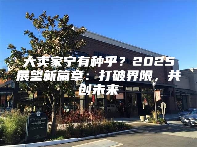 大卖家宁有种乎？2025展望新篇章：打破界限，共创未来