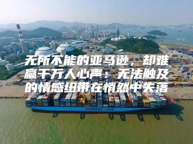无所不能的亚马逊，却难赢千万人心声：无法触及的情感纽带在悄然中失落