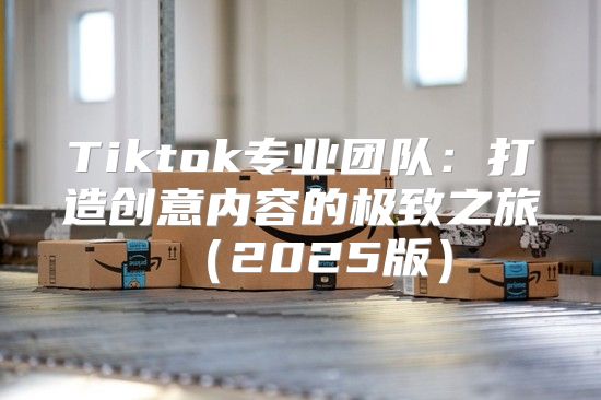 Tiktok专业团队：打造创意内容的极致之旅2025版