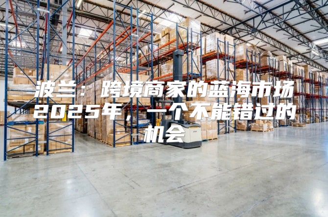 波兰：跨境商家的蓝海市场2025年，一个不能错过的机会