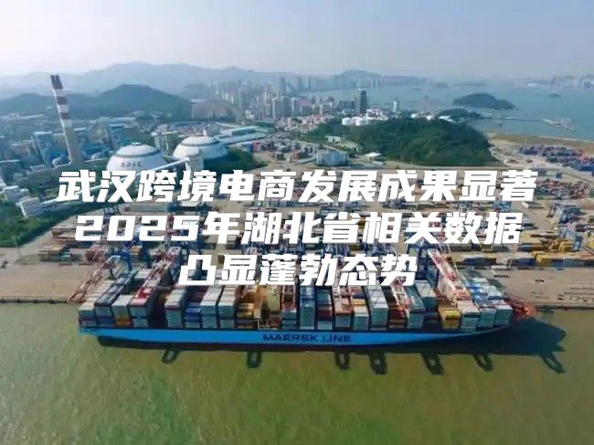 武汉跨境电商发展成果显著2025年湖北省相关数据凸显蓬勃态势