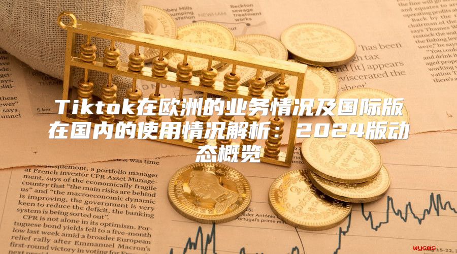Tiktok在欧洲的业务情况及国际版在国内的使用情况解析：2025版动态概览