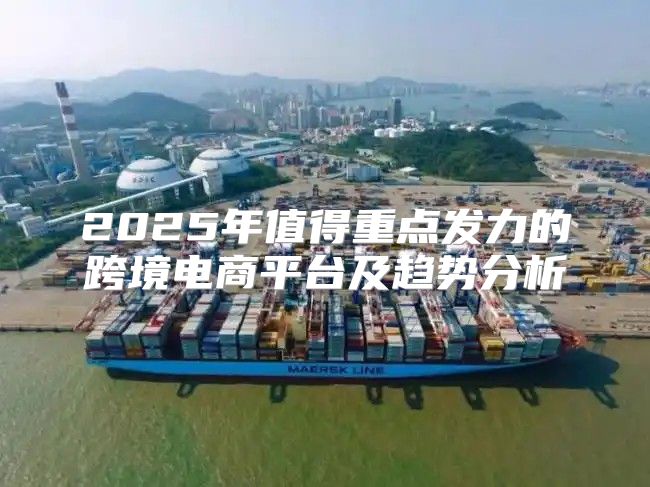 2025年值得重点发力的跨境电商平台及趋势分析