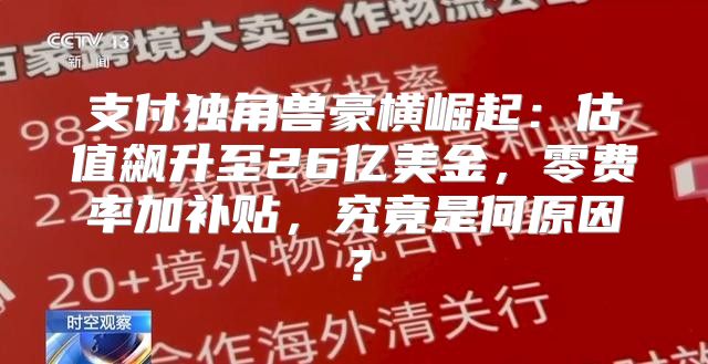支付独角兽豪横崛起：估值飙升至26亿美金，零费率加补贴，究竟是何原因？