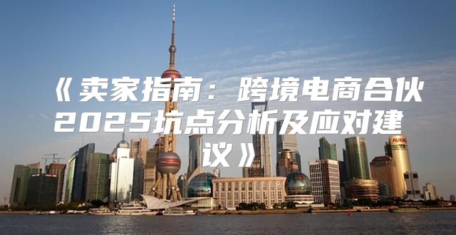 卖家指南：跨境电商合伙2025坑点分析及应对建议